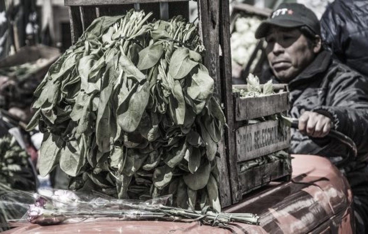 Pequeños productores repartieron 20 mil kilos de verduras a jubilados