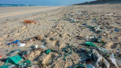 Según un estudio, arrojan hasta 8 toneladas de residuos plásticos en las playas de Villa Gesell