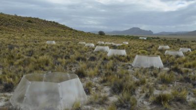 Bariloche, uno de los diez elegidos para estudiar el cambio climático