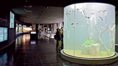 Rosario: El Acuario del Río Paraná se inaugura el viernes y será «único en el país»