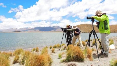 Expedición a las lagunas altoandinas