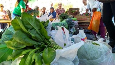 Verdurazo: productores reclaman la sanción de un proyecto de agricultura familiar
