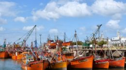 Un plan de Agroindustria podría beneficiar a la Patagonia y generar desocupación en Mar del Plata