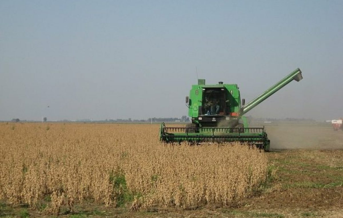 Nueva compra de soja a Estados Unidos: ya van casi 600.000 toneladas