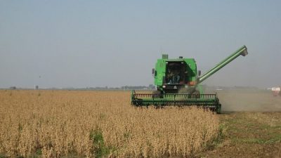 Nueva compra de soja a Estados Unidos: ya van casi 600.000 toneladas