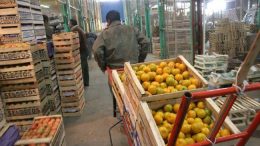 Sigue trabajando en negro casi la mitad de los mendocinos