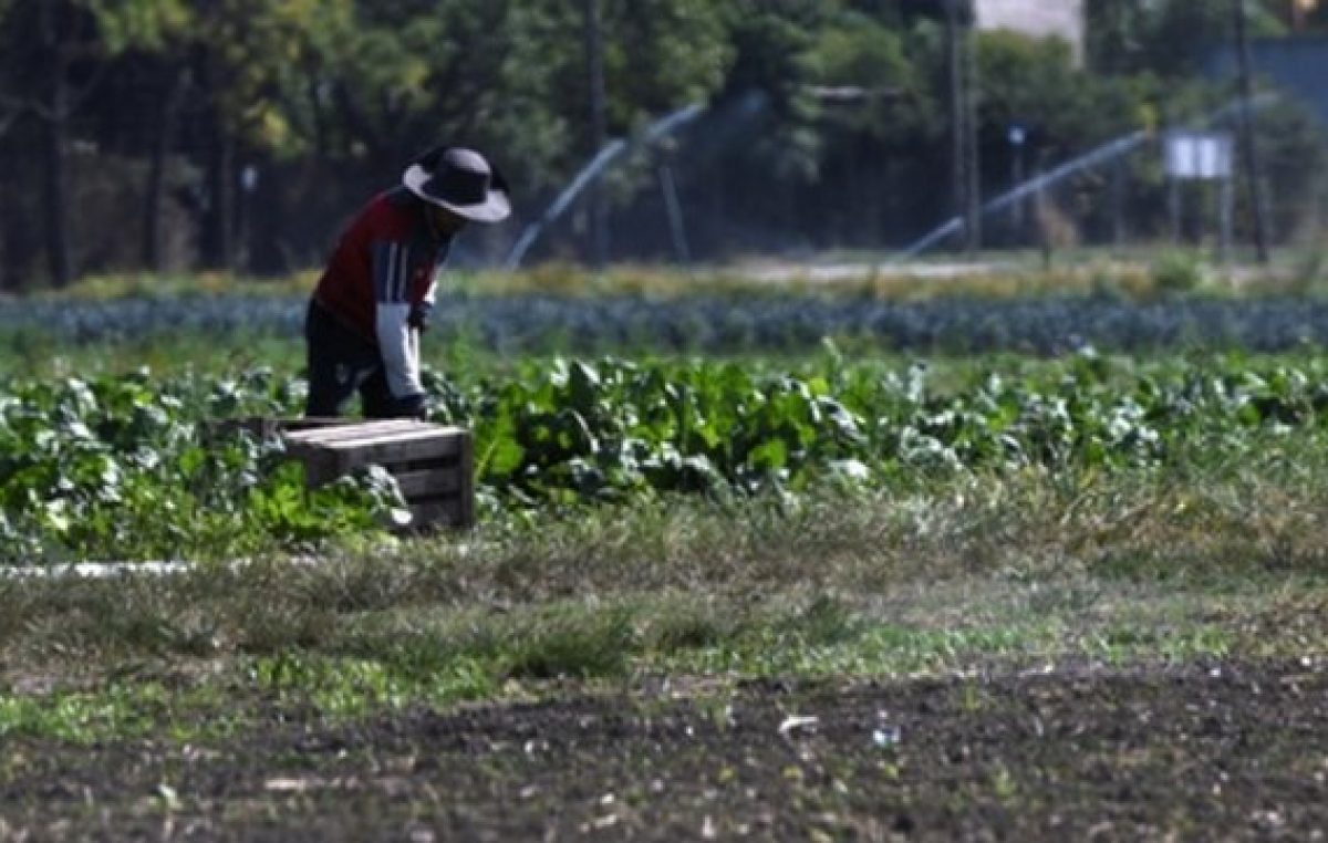 Rosario: Mejoraron su economía y la convivencia con las huertas agroecológicas