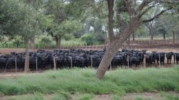 La devaluación complica aún más a las economías regionales