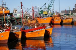 Después de 14 años Mar del Plata perdió su estatus internacional como puerto seguro