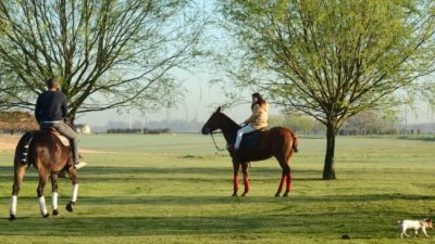 Insólito: Edesur detectó 145 conexiones clandestinas en un exclusivo country de Cañuelas