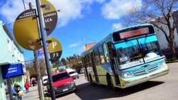Viedma y Roca: fuerte crisis por el costo del boleto del TUP