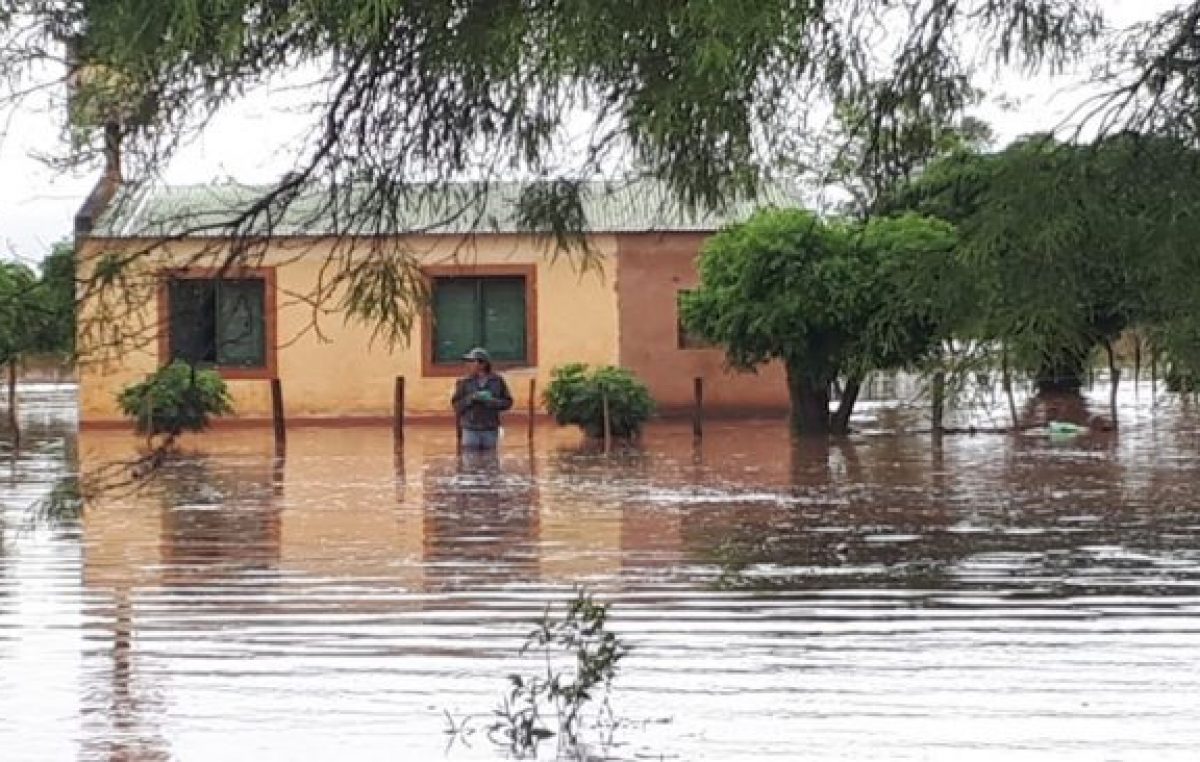 Greenpeace: Las zonas inundadas en Salta fueron las más desmontadas
