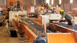 Para el 50 por ciento de las pymes, el año pasado fue peor que 2017