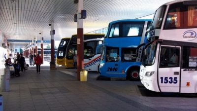 Córdoba: Empresas de transporte piden apoyo a los municipios