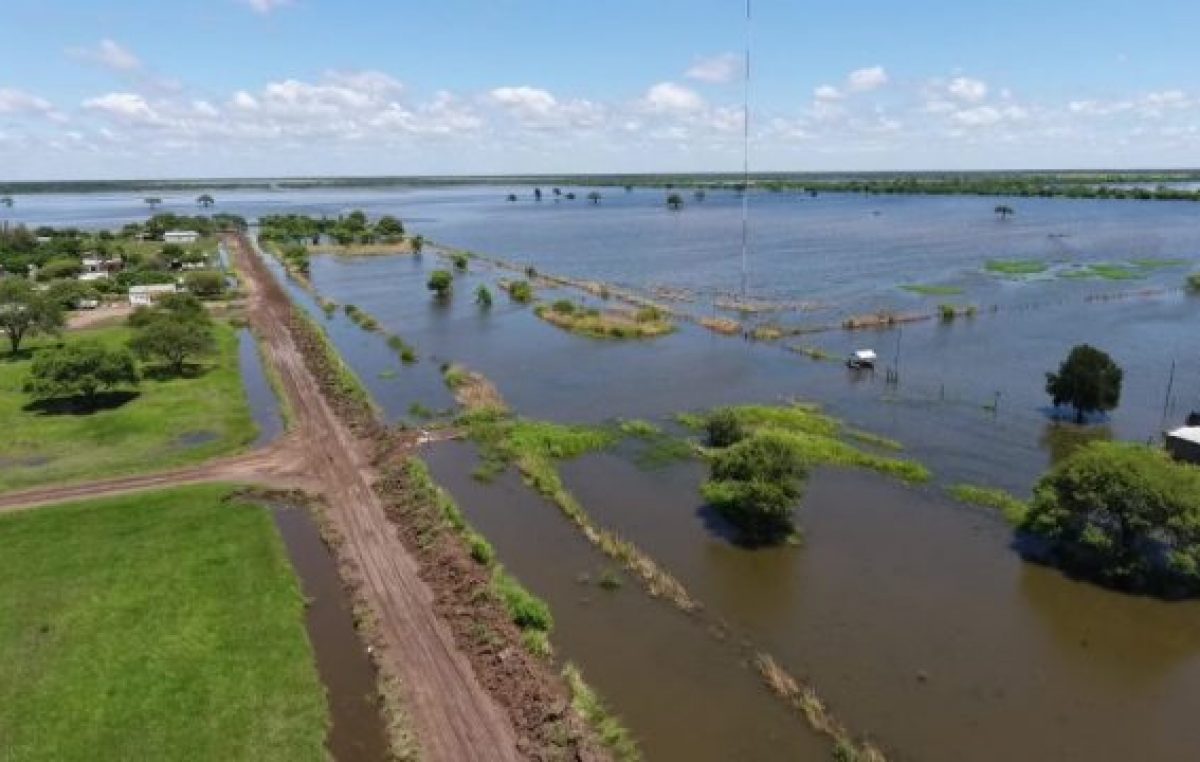 Para Greenpeace, «las inundaciones serán recurrentes si no se frena la deforestación»