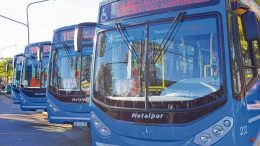El transporte de Rosario se queda sin proveedor de nuevos colectivos urbanos