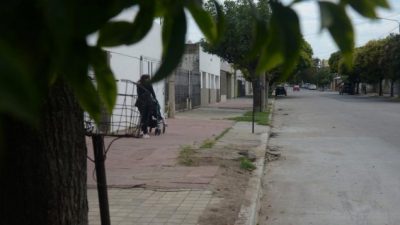 Detectan un faltante de 12 mil árboles en 15 barrios de Córdoba