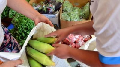 La feria de frutas y verduras sin agroquímicos llegó para quedarse en Viedma