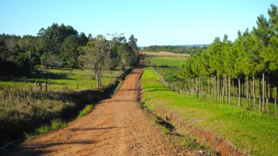 La UNLP cede más de 6 mil hectáreas a comunidades guaraníes en Misiones: «Es un avance histórico»