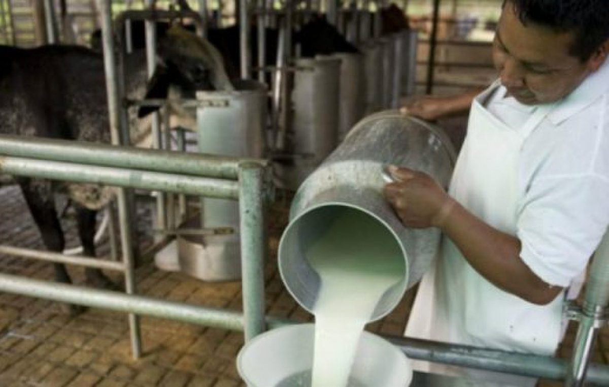 El furor por comprar leche en el tambo no cesa: el litro se vende a $24 en Mendoza