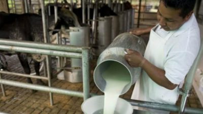 El furor por comprar leche en el tambo no cesa: el litro se vende a $24 en Mendoza