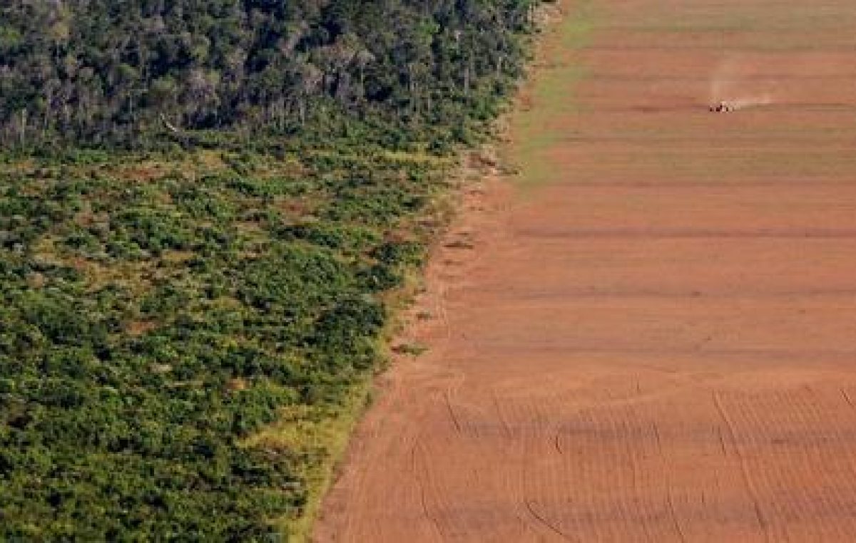 El Amazonia sufre una deforestación feroz