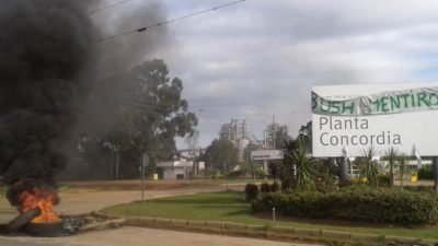 Despidos en la maderera de Concordia: Trabajadores podrían recrudecer las medidas 