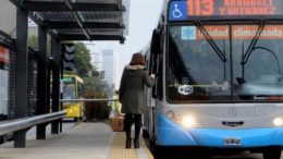 Rosario: Fein dijo que «el sistema de transporte está en crisis» pero que por ahora no habrá aumento del boleto