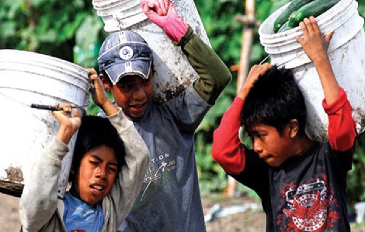 Día Mundial contra el Trabajo Infantil: el flagelo que afecta a más de 1 millón de chicos argentinos