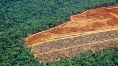 Bolsonaro critica los datos sobre la alarmante deforestación 