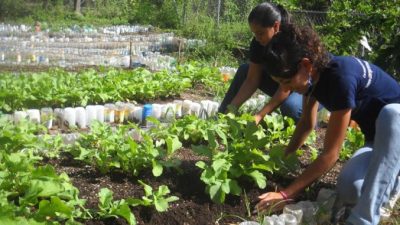 El Gobierno Nacional dio de baja un programa destinado a jóvenes rurales jujeños