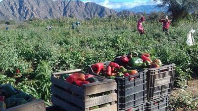FONAF: “Un nuevo Ministerio de Agricultura para pocos”