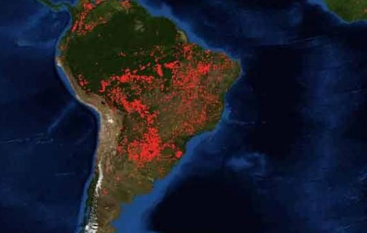 Amazonas: Bolsonaro omitió un alerta tres días antes de los incendios