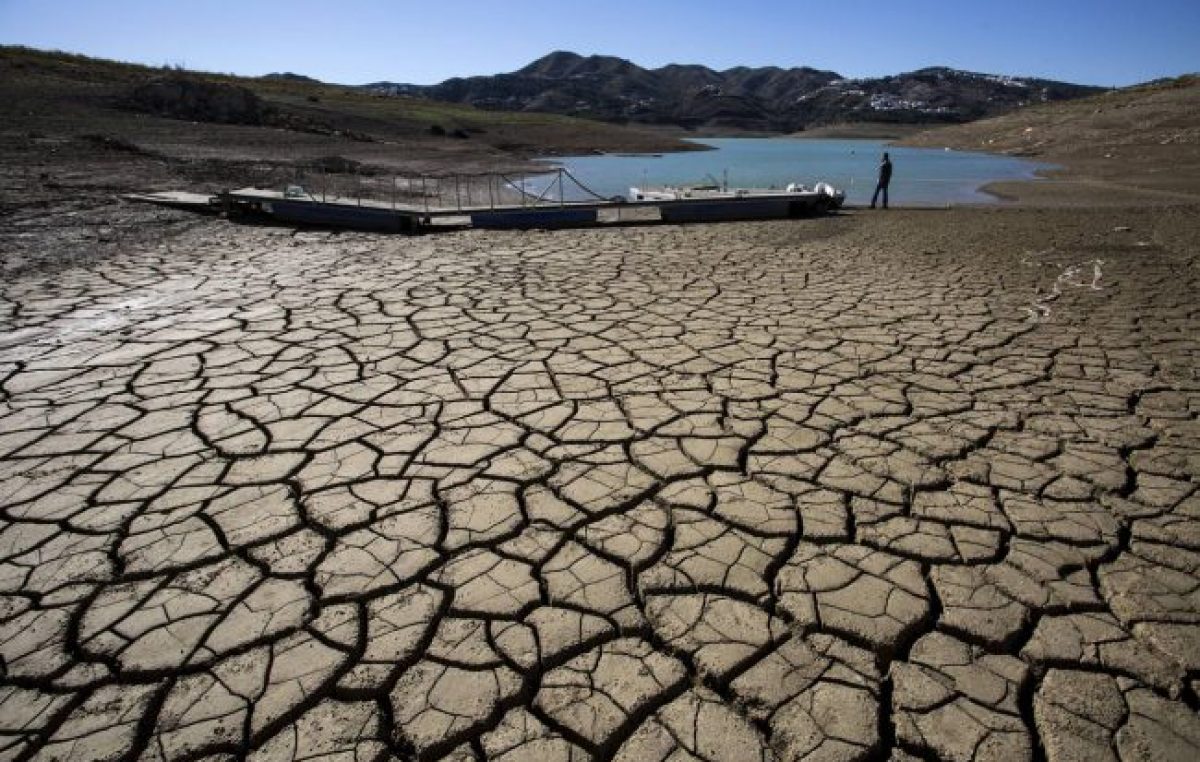 ONU urge cambiar dieta y uso de la tierra para frenar el cambio climático