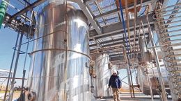 Biodiesel: advierten que peligran miles de empleos en el sector pyme