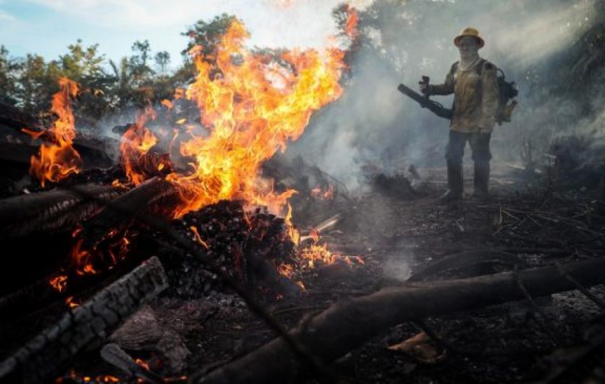 Fuerte crecimiento de la deforestación en la Amazonia