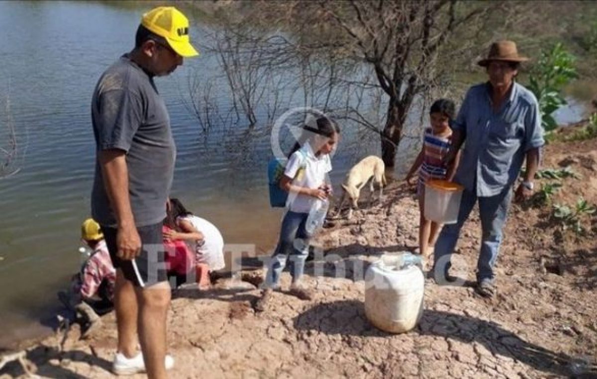 Sequía que duele en Salta: la gente toma agua de donde beben los animales
