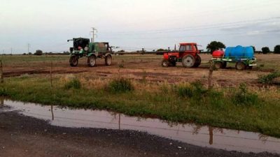 Pueblos y escuelas fumigados: la Provincia de Córdoba recibe 4 denuncias por día