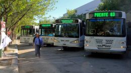 La Muni de Cipolletti congelará el boleto de colectivo por 4 meses