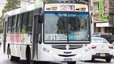 Nuevo aporte del Municipio de Bariloche a Mi Bus, esta vez de nueve millones de pesos
