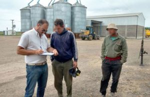 Según un relevamiento del Renatre, el 83% de trabajadores rurales está en negro