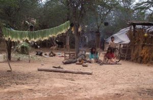 El drama de la comunidad wichi contado desde adentro por una voluntaria