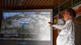 El municipio de Regina debe 86 millones y sigue recibiendo facturas