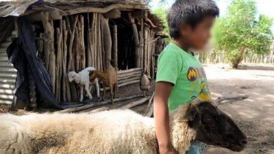 El Gobierno nacional hará obras para que más de 4500 habitantes de pueblos originarios salteños accedan a agua potable