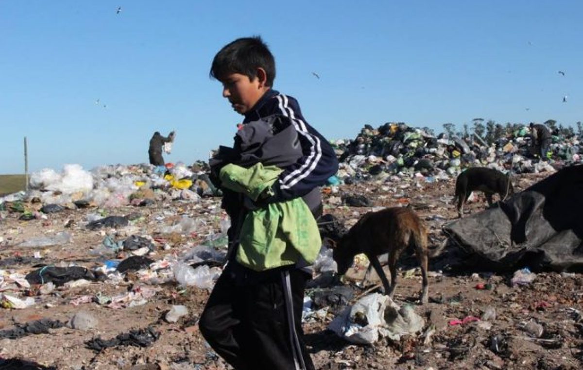 Mar del Plata: Aseguran que este verano aumentó “considerablemente” la cantidad de personas que vive de la basura