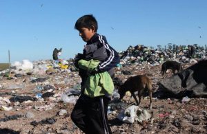 Mar del Plata: Aseguran que este verano aumentó “considerablemente” la cantidad de personas que vive de la basura