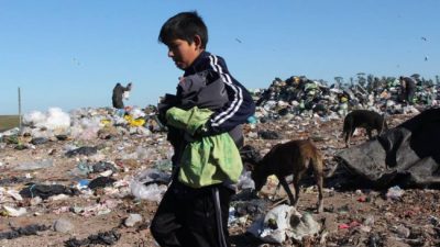Mar del Plata: Aseguran que este verano aumentó “considerablemente” la cantidad de personas que vive de la basura