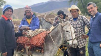 Campo Quijano: Habas, papas, choclos y más se venden por WhatsApp