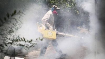 Dengue en Reconquista: aumentaron los casos un 20 por ciento en cinco días