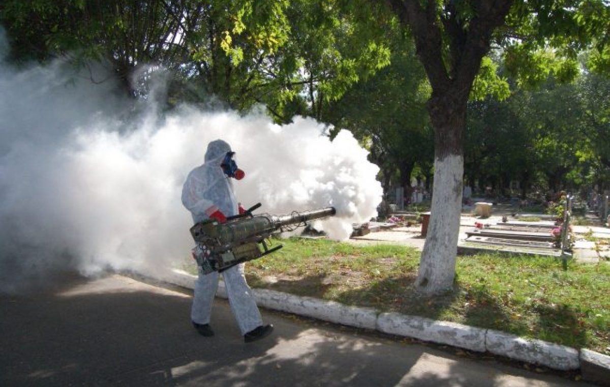 Admiten que es «preocupante» la cantidad de casos de dengue